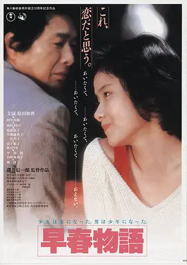 森林之光